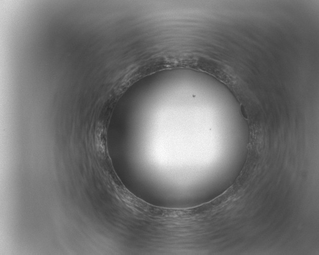 X0000058140770200510072030