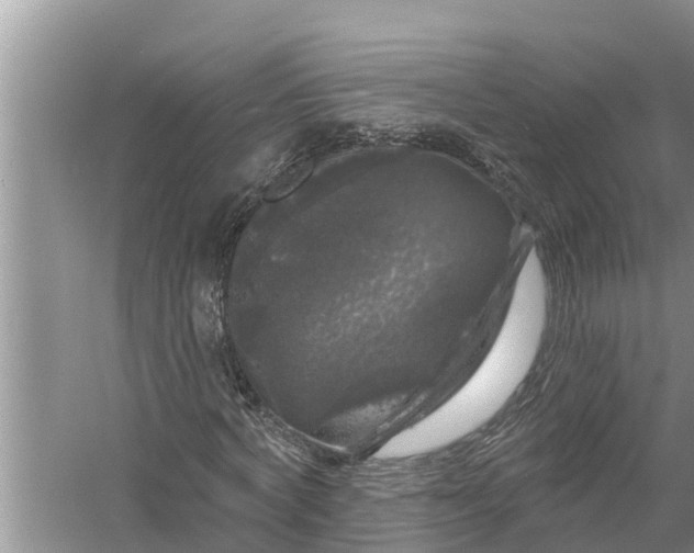 X0000058140772200510072030