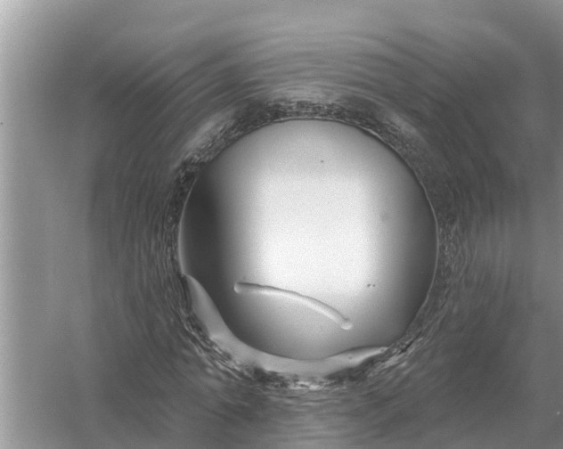 X0000058140774200510072030