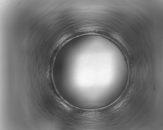 X0000058140778200510072030