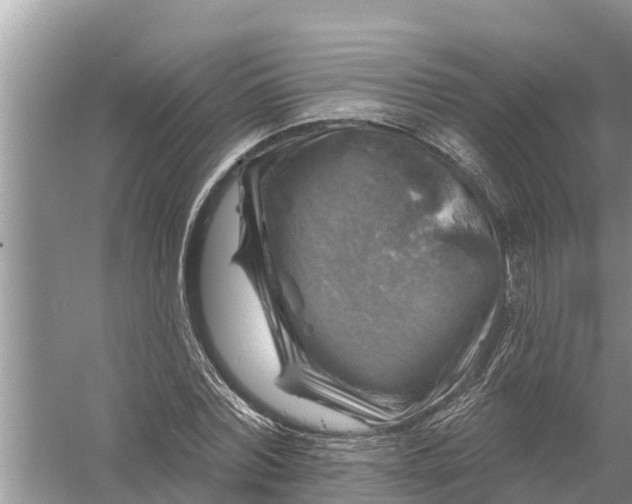 X0000058140780200510072030