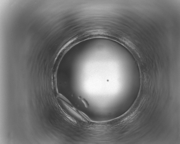 X0000058140782200510072030