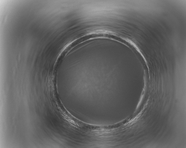 X0000058140783200510072030