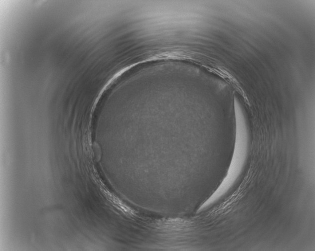 X0000058140784200510072030