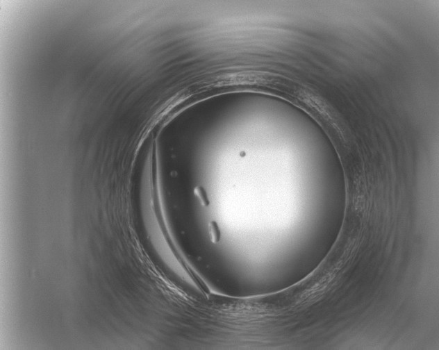 X0000058140786200510072030