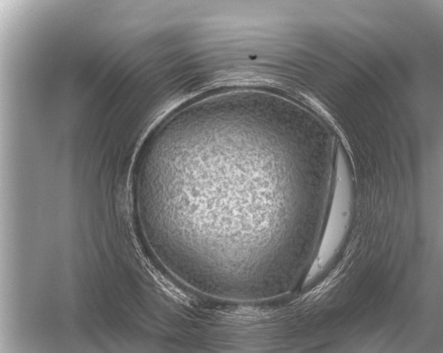 X0000058140787200510072030