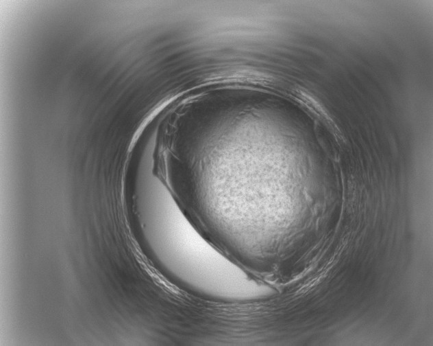 X0000058140788200510072030