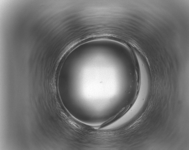 X0000058140789200510072030