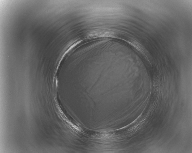 X0000058140790200510072030