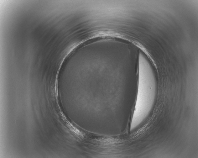 X0000058140791200510072030