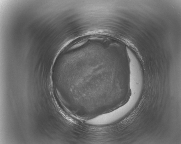 X0000058140792200510072030