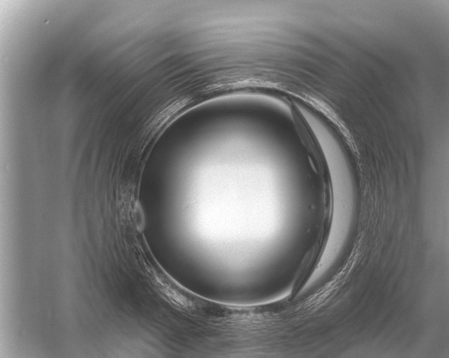 X0000058140793200510072030