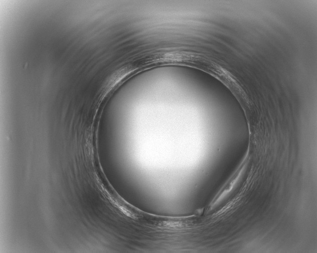 X0000058140794200510072030