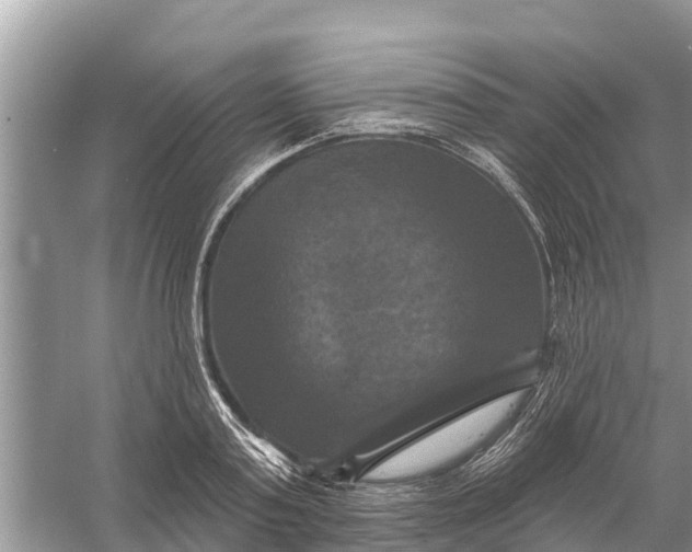 X0000058140795200510072030