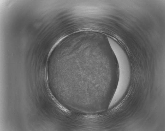 X0000058140796200510072030