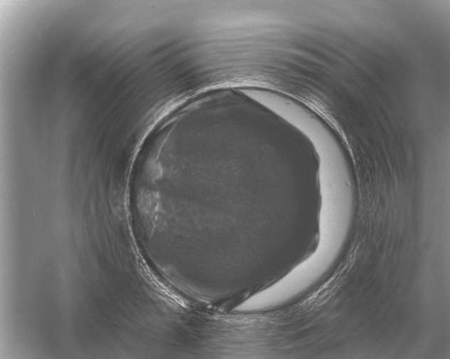 X0000058140797200510072030