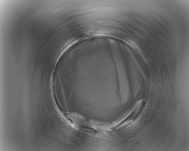 X0000058140798200510072030