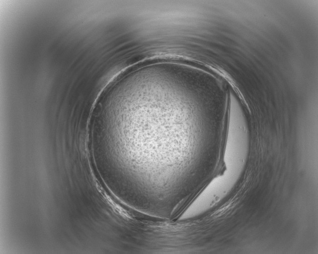 X0000058140799200510072030