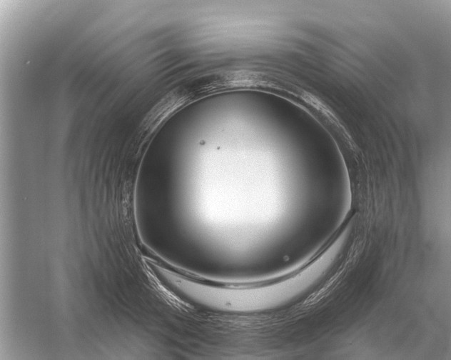 X0000058140801200510072030