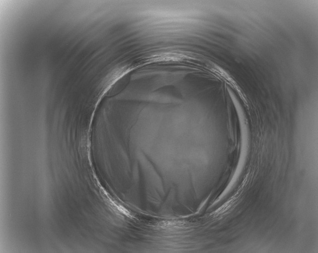 X0000058140802200510072030