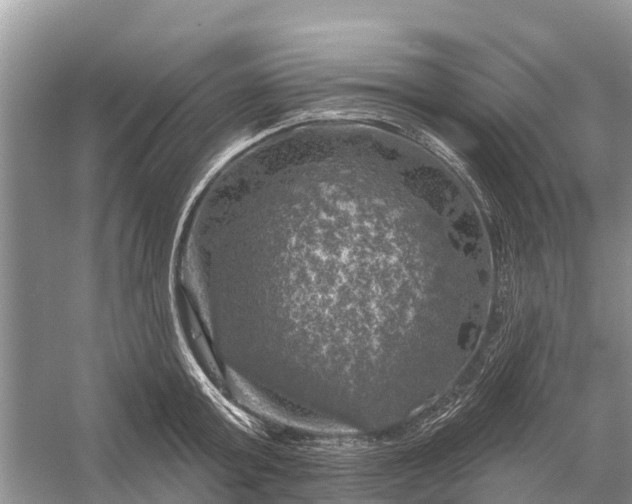 X0000058140803200510072030