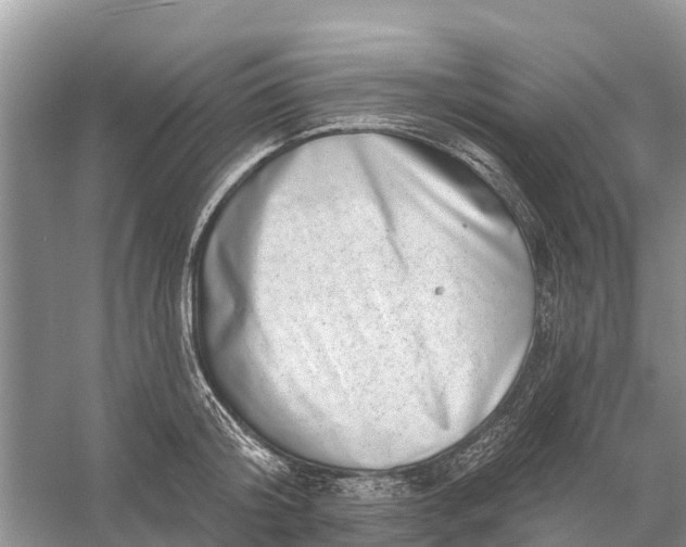 X0000058140804200510072030