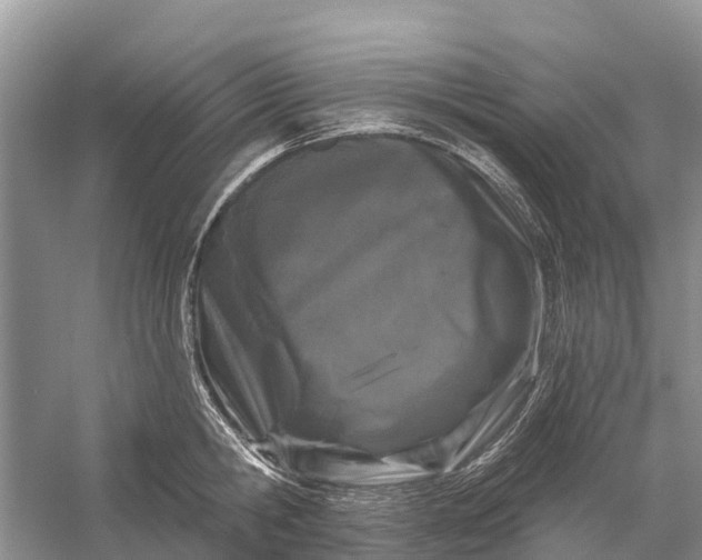 X0000058140806200510072030