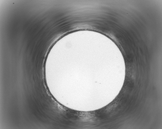 X0000058140807200510072030