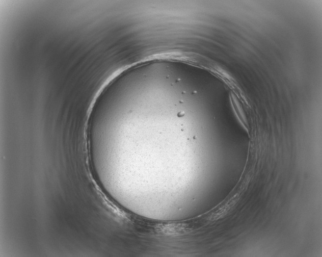 X0000058140808200510072030