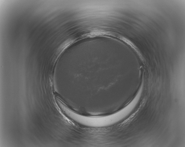 X0000058140809200510072030