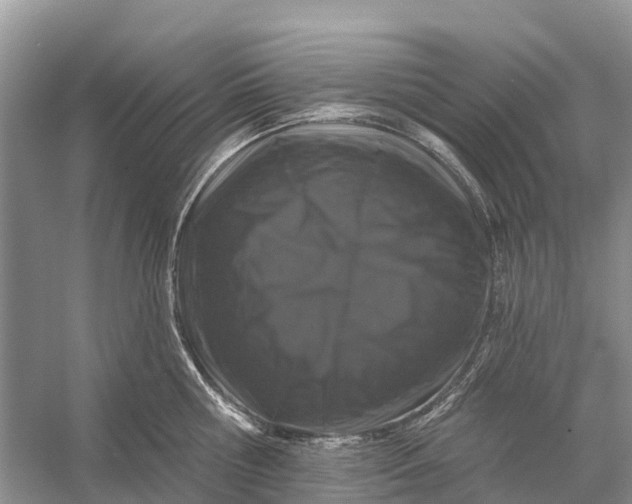 X0000058140810200510072030