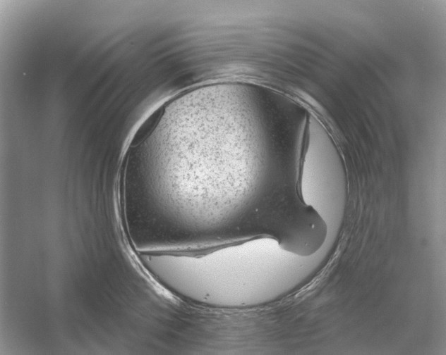 X0000058140812200510072030