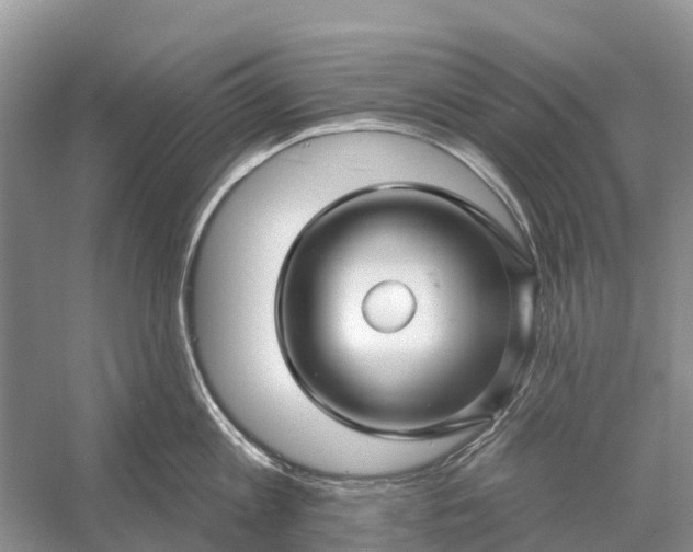 X0000058140813200510072030