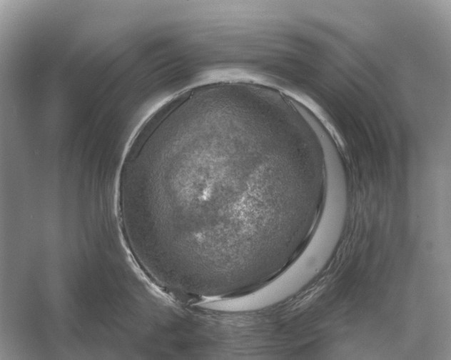 X0000058140815200510072030