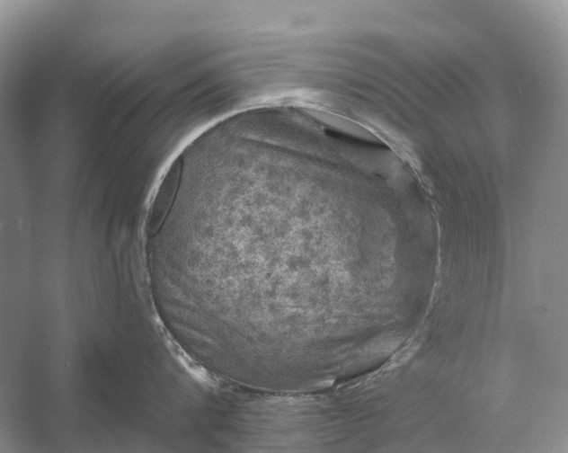 X0000058140816200510072030