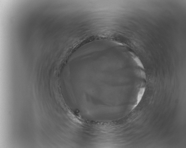 X0000058140817200510072029