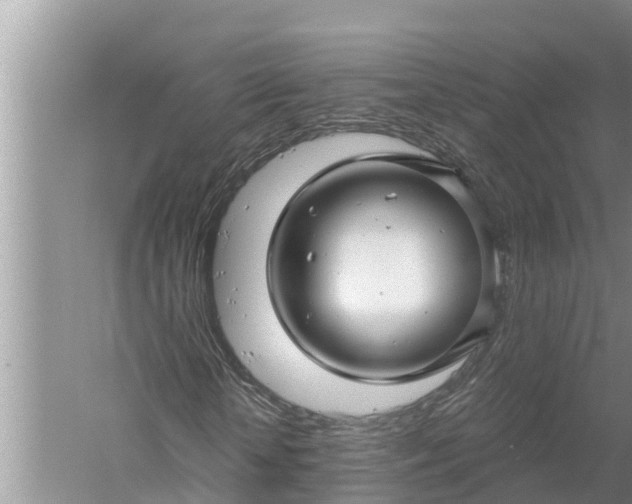 X0000058140818200510072029