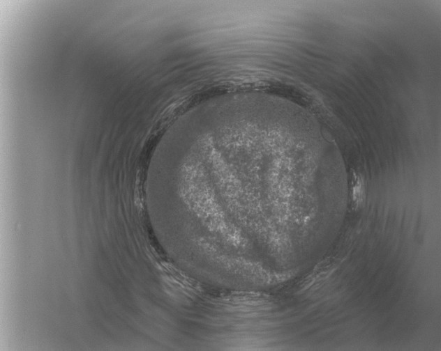 X0000058140819200510072029