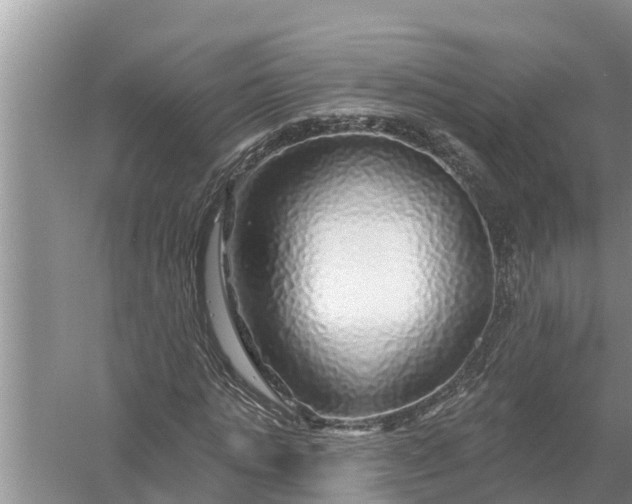 X0000058140821200510072029