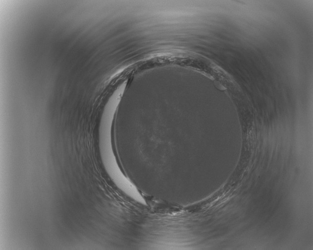 X0000058140822200510072029