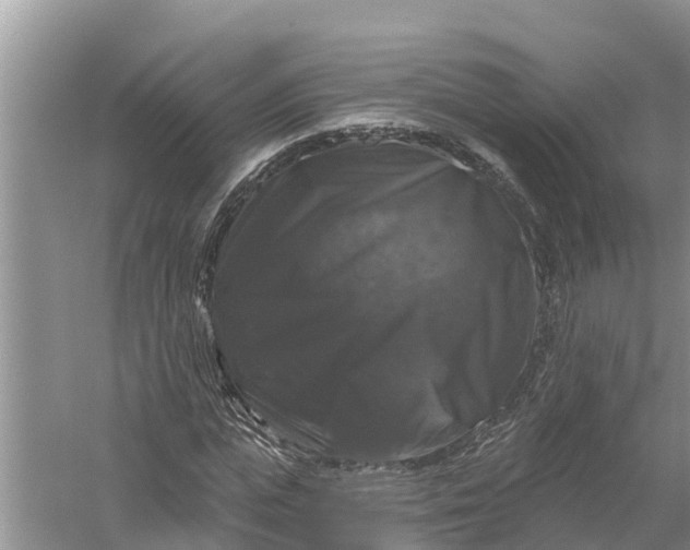 X0000058140823200510072029