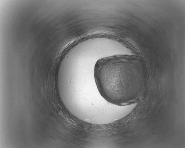 X0000058140824200510072029