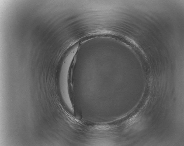 X0000058140825200510072029