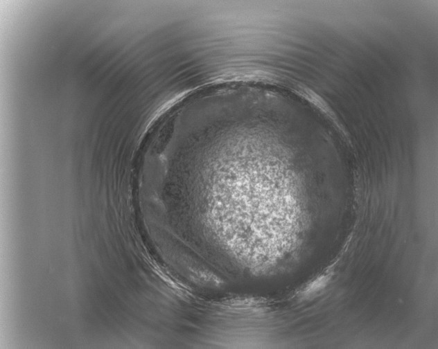 X0000058140826200510072029