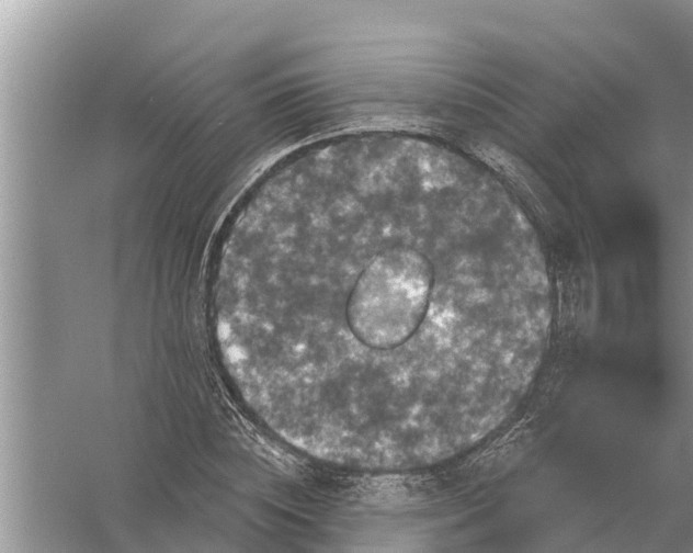 X0000058140828200510072029