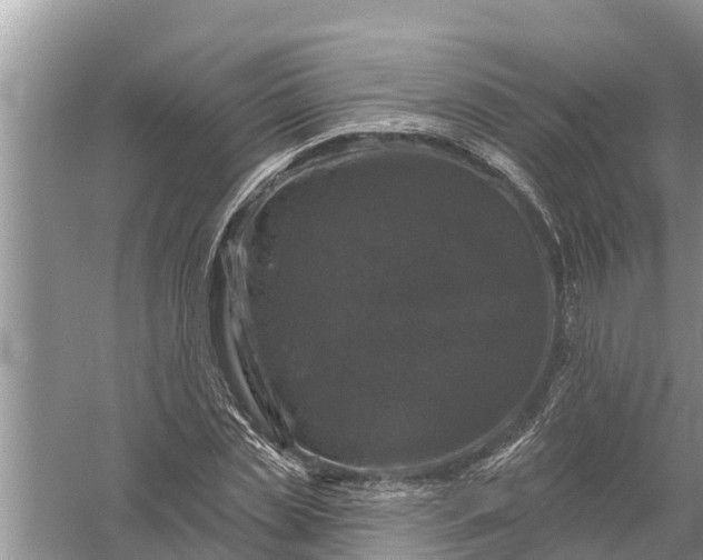 X0000058140829200510072029