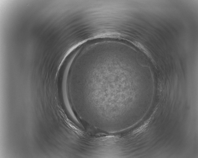 X0000058140830200510072029