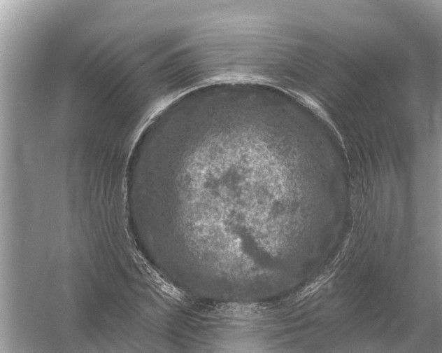 X0000058140831200510072029