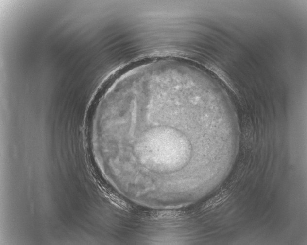 X0000058140832200510072029