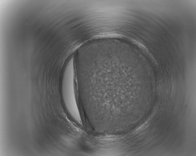 X0000058140833200510072029